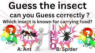 Guess the Insect - Fun Quiz | Can You Guess Correctly? With Brainy Bytes info