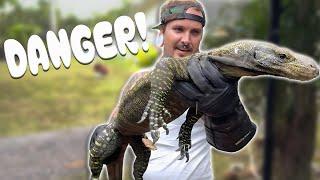 GIANT EXOTIC LIZARDS and VENOMOUS SNAKES! Enclosure UPGRADES!!