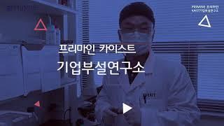 프리마인  primine kaist 연구소