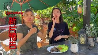 豆豆廚房 未來新片預告 Beanskitchen, What's upcoming?