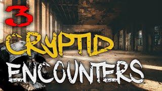 3 Totally Strange CRYPTID Encounters That I found Crazy