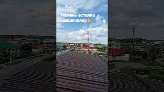 тюмень кишлоелари псталик