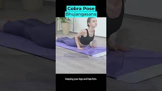 Cobra Pose | YogiFi