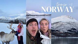 Tromsø Norway in 3 days | northern lights, feeding reindeer, & fjords boat tour !!!