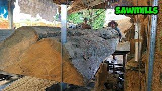 Sawmills//sawing large Meranti logs