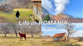 Life in Romania *Exploring Old Houses in the Carpathian Mountains, An ASMR Vlog