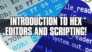 Introduction to Hex Editors and Scripting