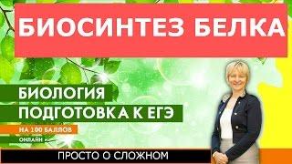 Видеоурок по биосинтезу белка. Просто  о сложном: транскрипция и трансляция.