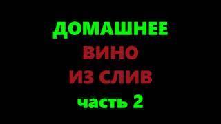 Сливовое вино в домашних условиях по простому рецепту. Часть 2