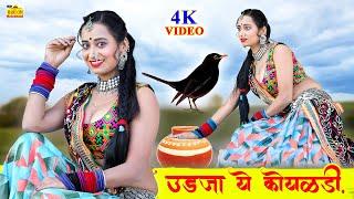 उड़ जा रे कोयलड़ी मारवाड़ी देसी न्यू फागण सोंग 2023 | Marwadi Video | Renu Rangili | Rajasthani Song