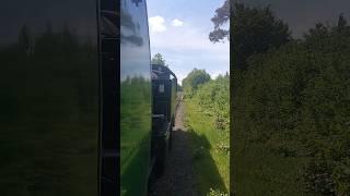 Mid Hants Railway on 11th May 2025  Ivatt Tank 41312 Thrashing Up Alton Bank 