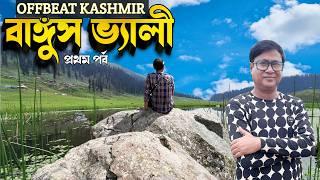 Bangus Valley - Offbeat Kashmir Part 1 | Kolkata to Bangus via Srinagar