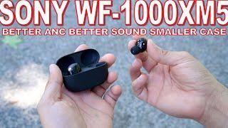 Sony WF-1000XM5 Review - Big Upgrades From The XM4's That I Didn't Expect