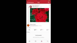 Parler 101: How To Navigate Notifications (Mobile Version)