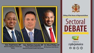 JISTV | Sitting of the House of Representatives - Sectoral Debate