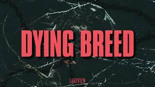 Lakeview - Dying Breed (Visualizer)