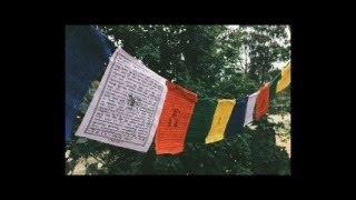 10 Minute Morning Meditation #meditation #meditationforbeginners #calm #silence #buddhism