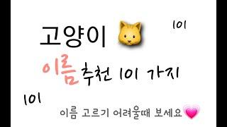 고양이 이름 추천 101가지!이렇게나 많다고?? 101가지 이름 같이봐요 고양이/동물 이름 짓기 어려울때