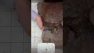 That’s why we got two bathrooms 