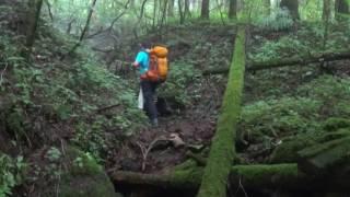 海抜0メートルから富士山頂へ【村山古道ルート】