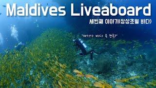 몰디브 리브어보드#3 [4k] l flynplay l maldives liveaboard l 만타를 2시간 넘게 보다 ㅣ 당게티섬으로 외출 ㅣ Diving Vlog 해외편️