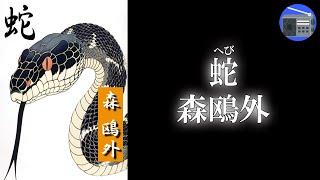 【朗読】「蛇」宿泊した旧家の“嫁姑の不和”を描いた『半日』の続編！【怖い話・幻想小説／森鴎外】