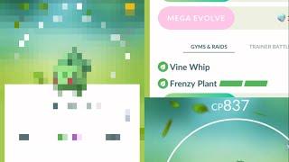 FIRST EVER SHINY FRENZY PLANT!!! | Pokémon GO