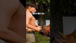 아마존의 전통 어른이 되는 특별한 방식