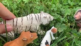 A Tiger Story |Part 11| Schleich