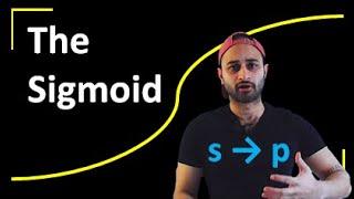 The Sigmoid : Data Science Basics