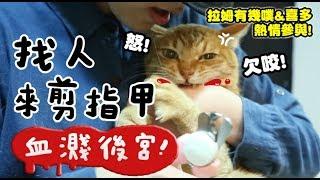 【黃阿瑪的後宮生活】找人來剪指甲，血濺後宮！感恩拉姆奴才&肚臍奴才