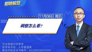 调整怎么看？ | 2024.11.08 周五 A股解盘 | #上证指数 #收评 #股票行情 #大盘分析 #都业华 #每日解盘 #缠中说禅 #中枢理论 #技术面分析