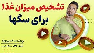 چه مقدار سگت باید غذا بخوره | میزان مناسب غذای خشک | تربیت سگ