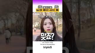 [트리플에스/코토네/마유] 펭귄으로 논쟁 중인 성인 둘  #triples #트리플에스 #코토네 #마유