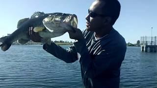 Monster 9 Lbs & 13 Oz Bass At Rancho Seco (Part 1)