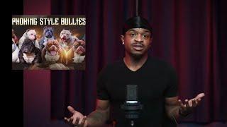 Who’s the Top American Bully in the Game? Has Phokingstyle Bullies Fallen Off? | The Bully View Ep 1