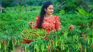 Green chili ️ harvesting! I made flavorful chili recipes & preserved in two ways!