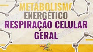 Metabolismo Energético - Respiração Celular - Geral