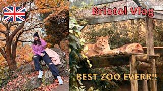 BRISTOL VLOG - Part 1 | Bristol Zoo Gardens