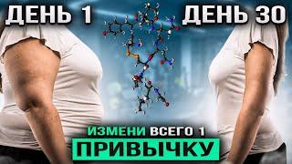 Если постоянно ХОЧЕТСЯ ЕСТЬ, попробуй ЭТОТ лайфхак | Через 30 ДНЕЙ, ты не узнаешь себя в зеркале