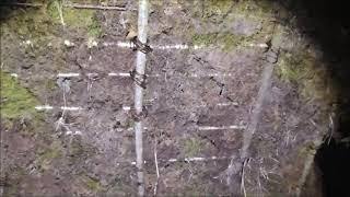 MOSS BUSHCRAFT SHELTER IN HEAVY RAIN