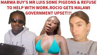 MARWA REFUSED TO HELP MR LUIS WORK BUT BUYS PIGEONS, ROCIO UPSET MALAWI OVER FORCEFUL K!DS F!LMING