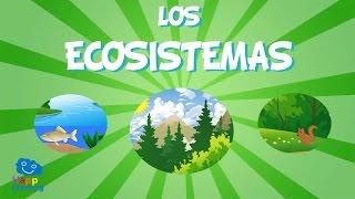 Ecosistemas | Vídeos Educativos para Niños