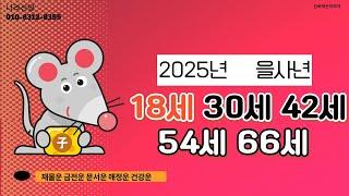 2025년 을사년 신점으로 본 나이별 쥐띠 신년운세 (18세,30세,42세,54세,66세)[용한점집][용한무당]