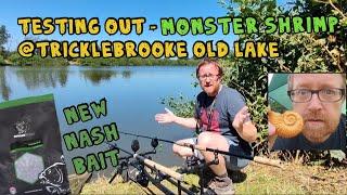 NEW! NASH MONSTER SHRIMP  at Tricklebrooke!!! @sifishes