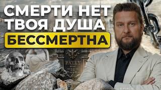 Скоро будет потоп. Конец света.  Почему грибы спасут цивилизацию?   Подкаст | Павел Дмитриев.