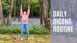 20 Minute Beginner Qigong Routine (Spring Forest)