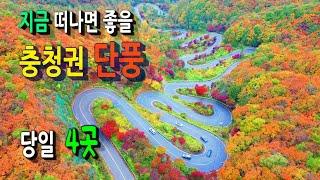 24.11.01 방문ㅣ말티재,  법주사, 세조길, 청남대