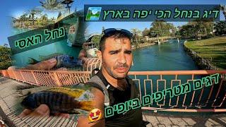 דיג בנחל האסי הנחל הכי יפה בארץ!!! דגים צבעוניים מטריפים ביופים. כל מה שרציתם לדעת על נחל האסי.