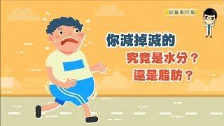 【邱醫幫你瘦】你減掉減的，究竟是水分還是脂肪？